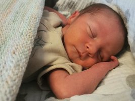 Jason | 10/2022 | 2430g | 47cm