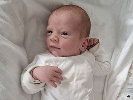 Henrik Gregor | 11/2025 | 3410g | 54cm