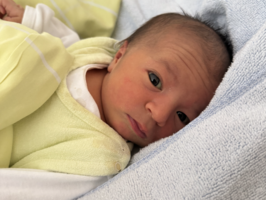 Anika | 04/24 | 3340g | 47cm