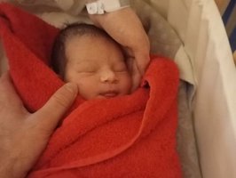 Jordan Isabelle | 11/2025 | 3555g| 53cm