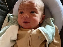 Gioele | 02/23 | 3250g | 48cm