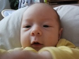 Theodor | Juli 2021 | 3300g | 53cm