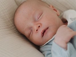Clemens | 02/2025 | 3600g | 50cm