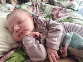 Isabella Melitta | 07/2025 | 4420g | 56cm