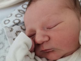 Damian | 09/21 | 3785g | 52cm