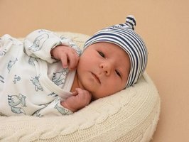 Carl | 04/2025 | 3380g | 51cm