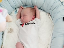 Vuk | 05/24 | 3176g | 50cm