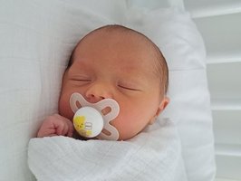 Linus | 10/24 | 3065g | 50cm