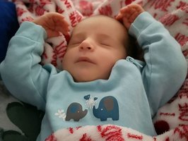 Adrian | 11/2022 | 3360g | 52cm