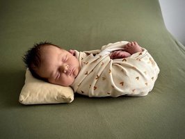 Tristan| 06/2025 | 4080g | 54cm