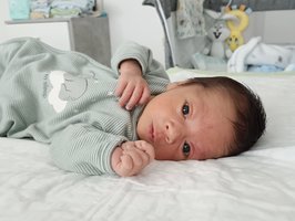 Emir | 03/23 | 2320g | 47cm