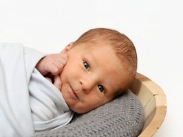 Anton | 12/2022 | 3300g | 52cm
