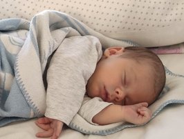 Severin | 01/21 | 3588g | 52cm