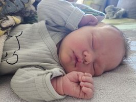 Stefania | 01/2025 | 3320g | 52cm