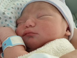 Yagiz | 11/22 | 3650g | 51cm