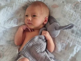 Raphael | 06/2022 | 3040g | 54cm