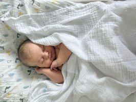 Flora Amrai| 06/2026| 3730g |53cm