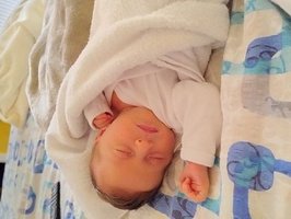 Bjanka | 10/2025 | 3094g| 50cm