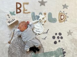 Aeneas | 01/24 | 3080g | 51cm