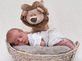 Louis | 05/24 | 2750g | 51cm