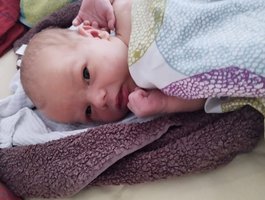 Elin | 06/23 | 3360g | 53cm