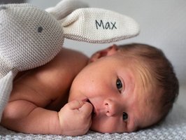 Max | 06/21 | 4400g | 54cm