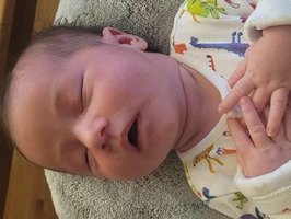 Laura | 05/2025 | 3110g | 51cm
