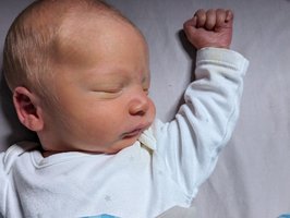 Emil | 12/23 | 3260g | 51cm