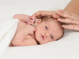 Charlotte | 11/23 | 3320g | 50cm