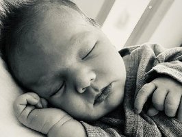 Emin | November 2021 | 3600g | 52cm