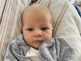 Szabolcs Gusztav | 03/24 | 3815g | 54cm