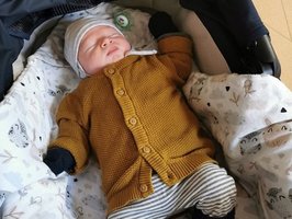 Milan | 08/21 | 3540g | 52cm