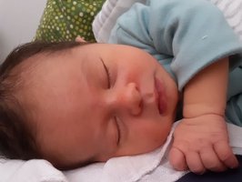 Andrija | 08/2022 | 3746g | 55cm