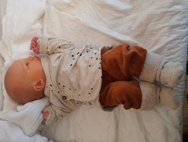 Charlotte | 11/2022 | 2600g | 49cm