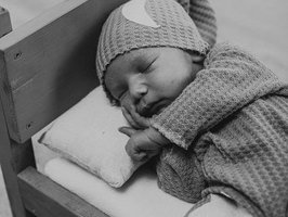 Luca | 01/2025 | 3334g | 50cm