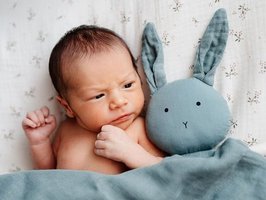 Viktor | 03/2025 | 3120g | 49cm