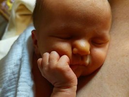 Benjamin | 03/2022 | 3410g | 50cm