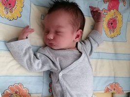 Tobias | 07/24 | 3572g | 49cm